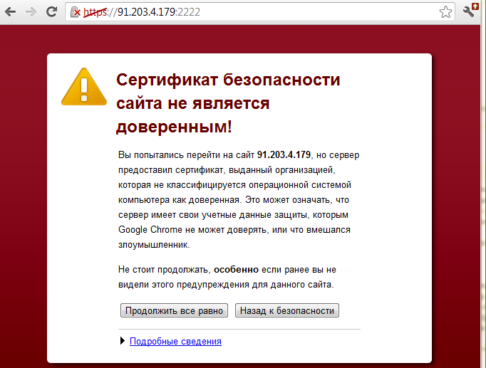 Рунет защитят сертификатом. Безопасность или контроль?